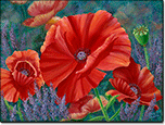 Poppies by Joan Hansen