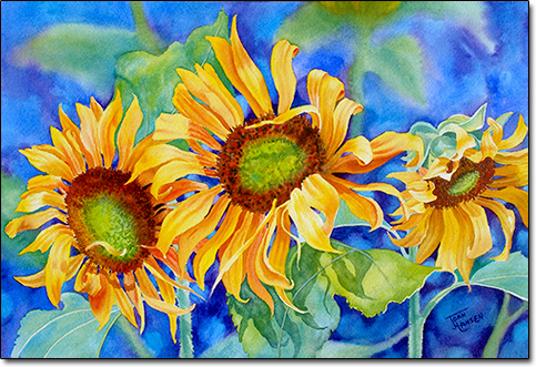 Sunflower Trio by Joan Hansen